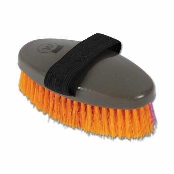   Waldhausen, NEON kefék, 12 darabos készlet, állvánnyal együtt