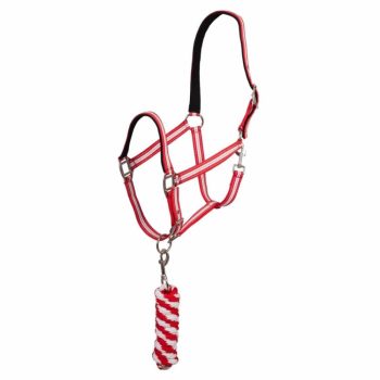 Premiere Stitch kötőfék szett, Full