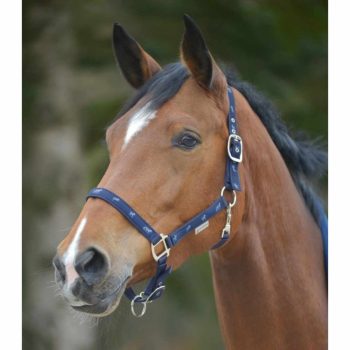   Waldhausen, Póni és csikó kantár, tengerészgyalogság, Cob