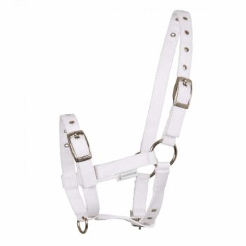 Waldhausen, Triple kötőfék, csikó, fehér