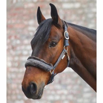 Waldhausen, Elegant kötőfék, aszfalt, Cob