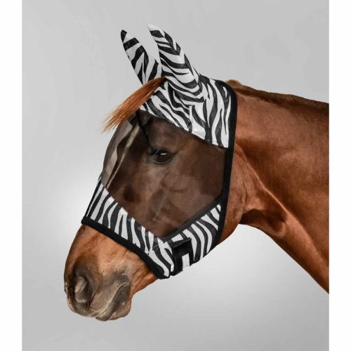 Zebra légy maszk, VB