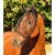 Waldhausen, Basic légymaszk fülvédővel, fekete , Full