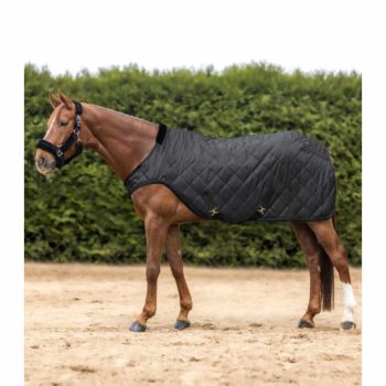   Waldhausen Exclusive Horsewalker lótakaró, 50g, fekete, 125 cm