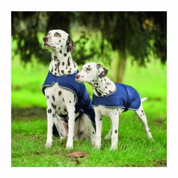 Waldhausen, Kutyaesőkabát, navy, 60 cm