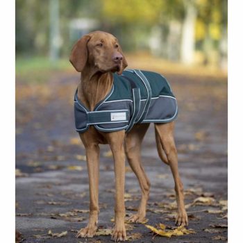   Waldhausen, COMFORT kutyakabát, 200 g/m² töltet, fenyő zöld, 35 cm