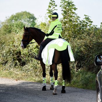 Láthatósági, fényvisszaverős lófelszerelések