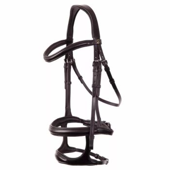 Anatómiai kantárok