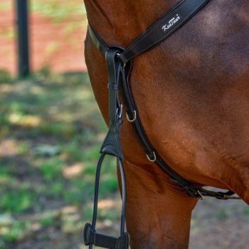 Kiképzőszárak, szügyelők és martingálok